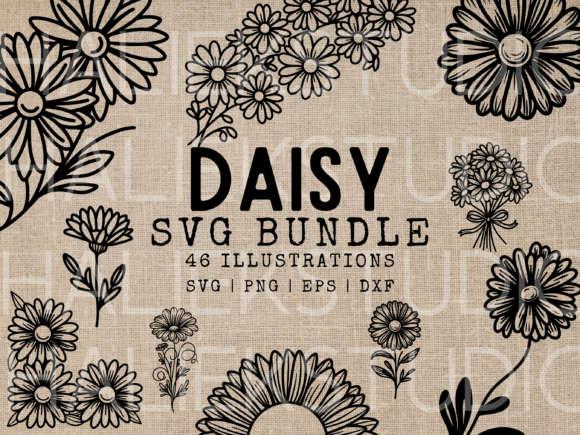 46 Hand-Drawn Daisy SVG Illustrations for Creative Projects