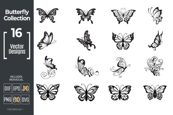 Breathing Life into Designs: The Art of Butterfly Illustrations