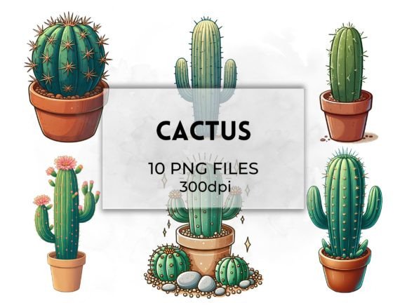 Cactus Clipart Illustrations Collection: Desert Charm for Modern Designs