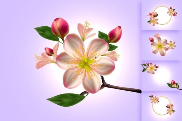 Elevate Your Designs with Vector 3D Cherry Blossom Illustrations